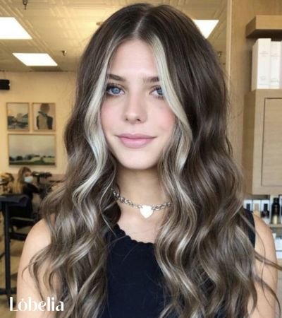 Brown Hair with Platinum Babylights