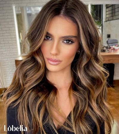 Chocolate Brown with Golden Blonde Highlights