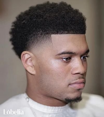 Curly Top Edgar with Low Fade