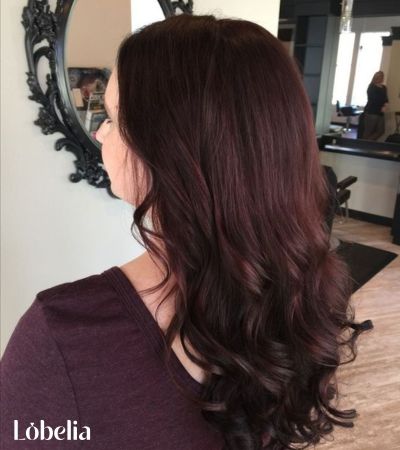 Dark Brown with Mahogany Undertones