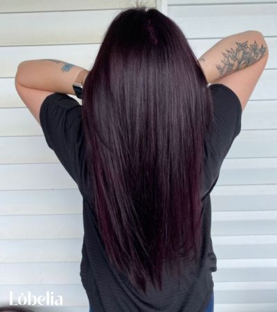 Dark Brown with Plum Tint