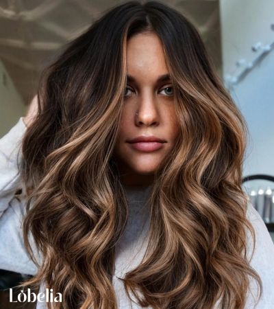 Dark Brown with Subtle Blonde Streaks