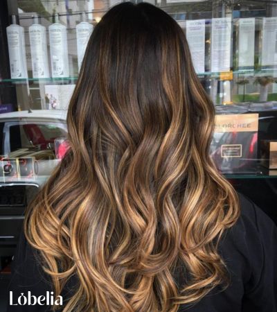 Dark Chestnut Brown with Golden Streaks