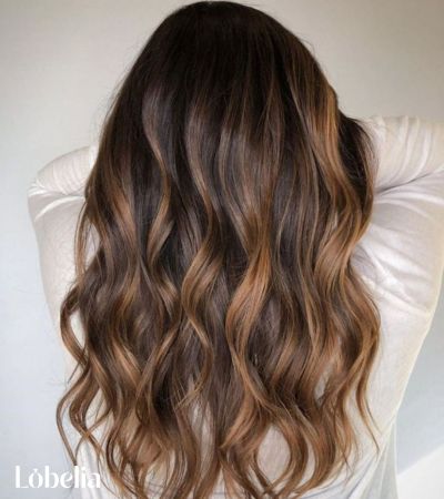 Dark Walnut Brown with Light Brown Highlights