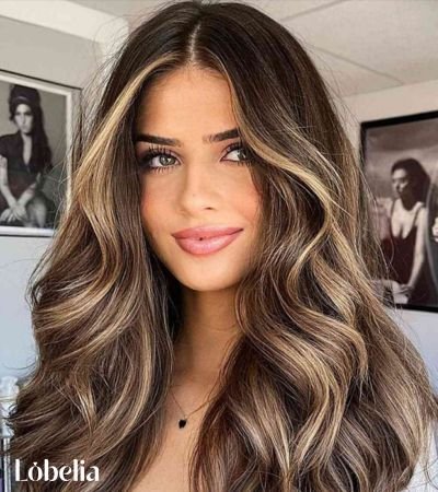 Deep Brown with Soft Blonde Highlights