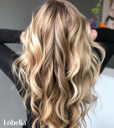 Honey Blonde Streaks