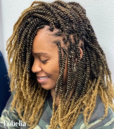 Kinky Twists with Double Braids