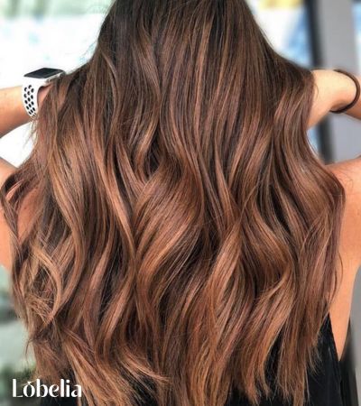 Warm Dark Brown with Cinnamon Highlights
