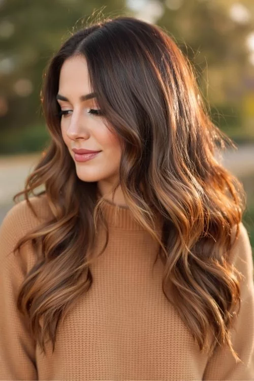 Chestnut Money Piece on Dark Brown Hair